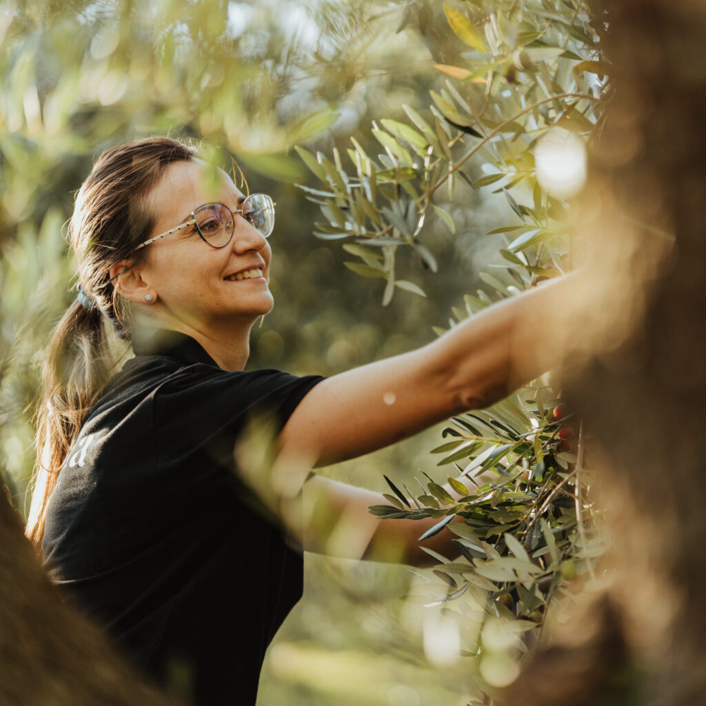 Frantoio Oleario Verna Guardiagrele