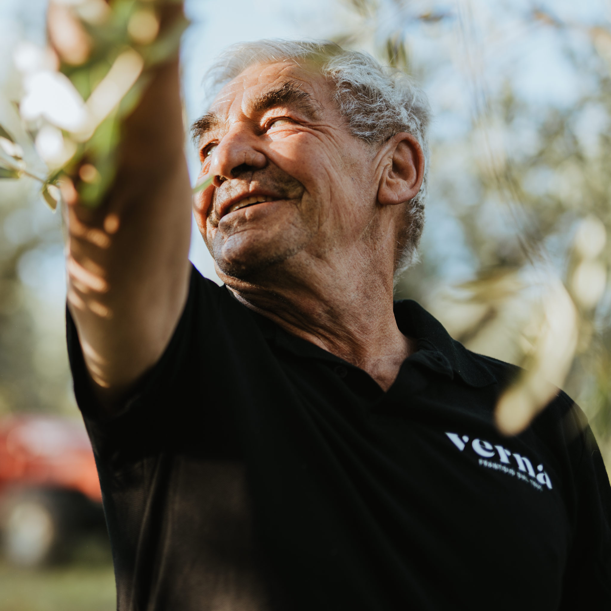 Frantoio Oleario Verna Guardiagrele