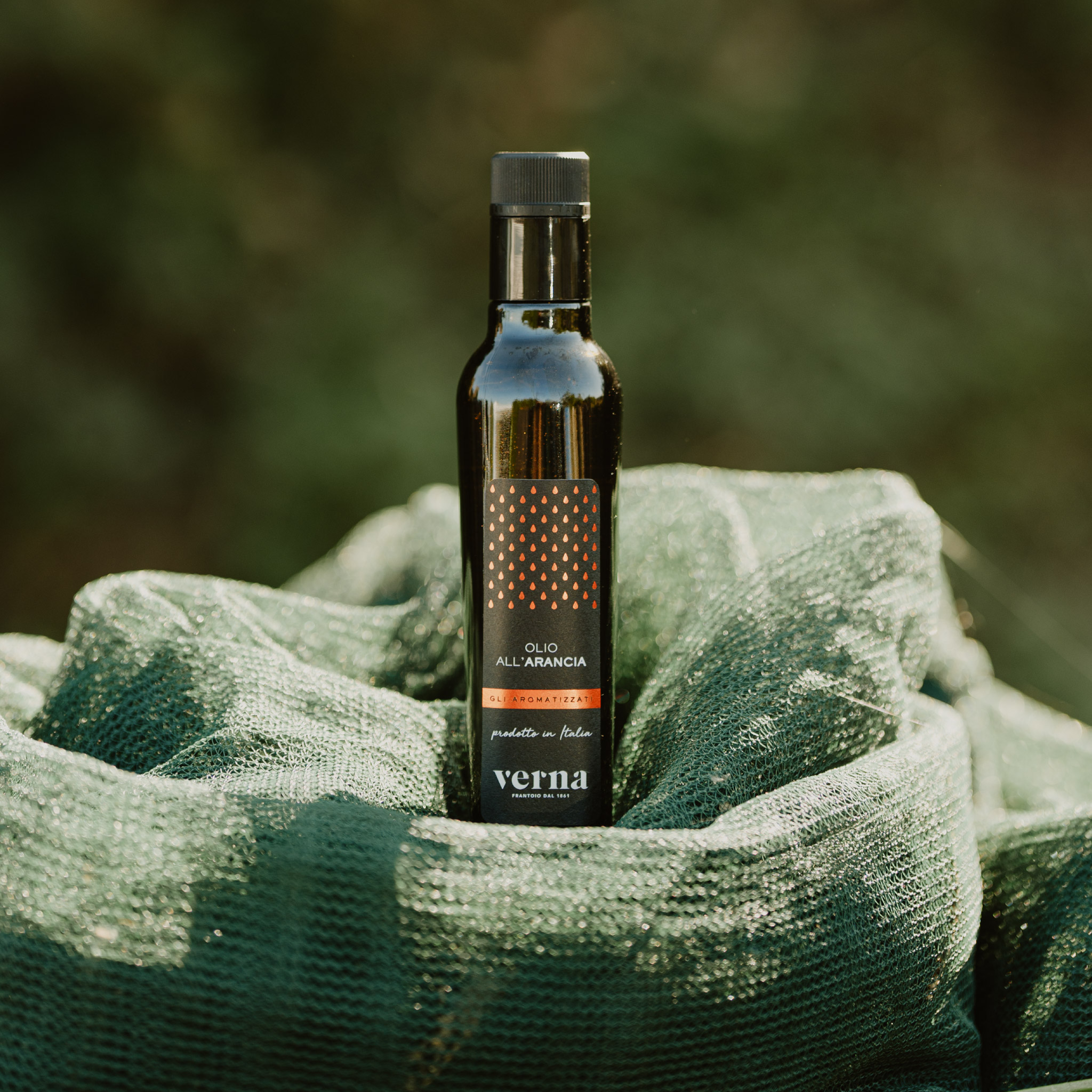 Frantoio Oleario Verna Guardiagrele