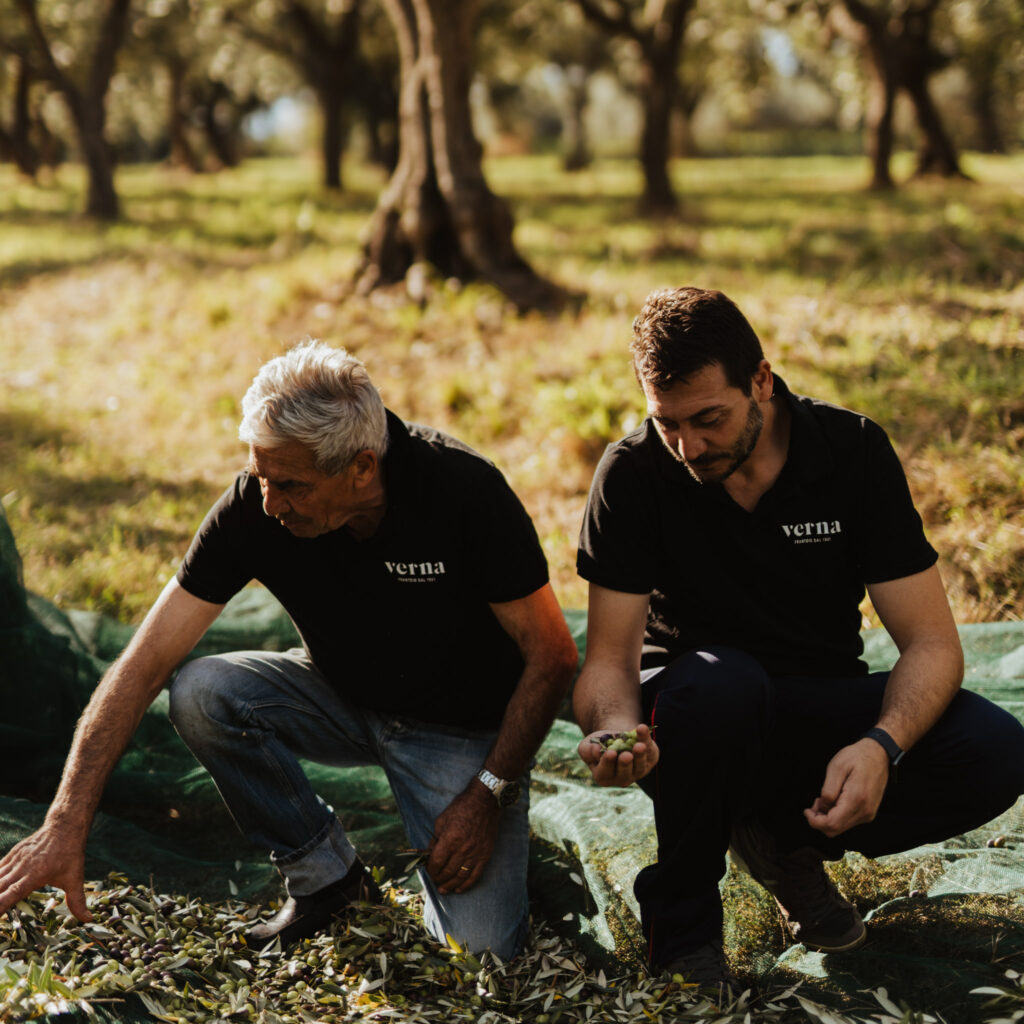 Frantoio Oleario Verna Guardiagrele